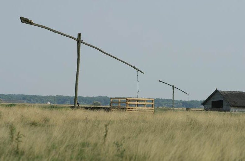 Hortobágy National Park, Great Hungarian Plain (East), Hungary